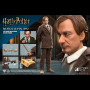 REMUS LUPIN 